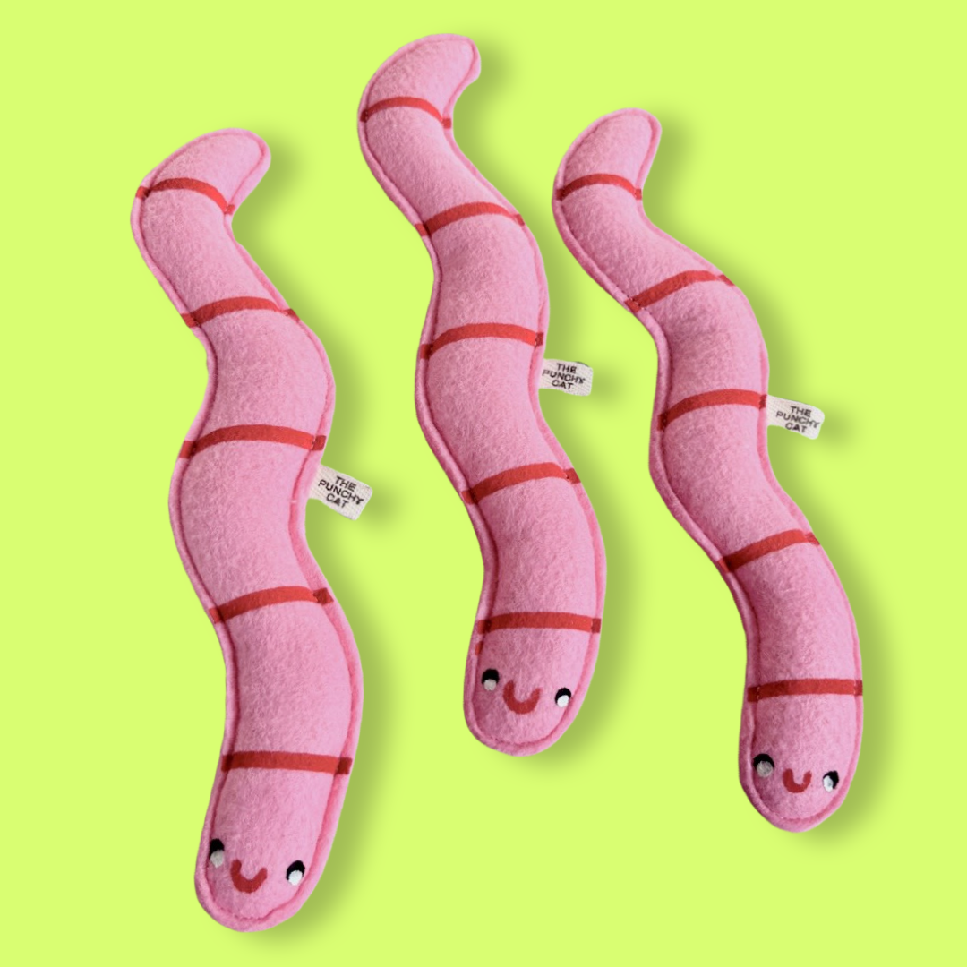 The Punchy Cat - Catnip Worm